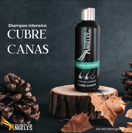 SHAMPOO CUBRE CANAS SECRETO ANGELES