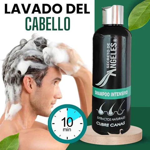 SHAMPOO CUBRE CANAS SECRETO ANGELES