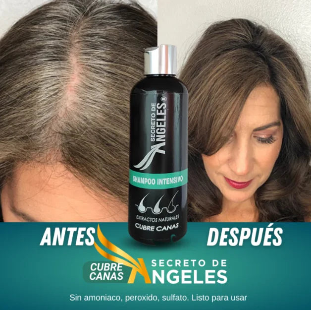 SHAMPOO CUBRE CANAS SECRETO ANGELES