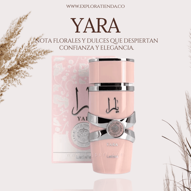 COMBO 3 PERFUMES + REGALO MINI FRASCO - LA ESENCIA QUE TODOS DESEAN