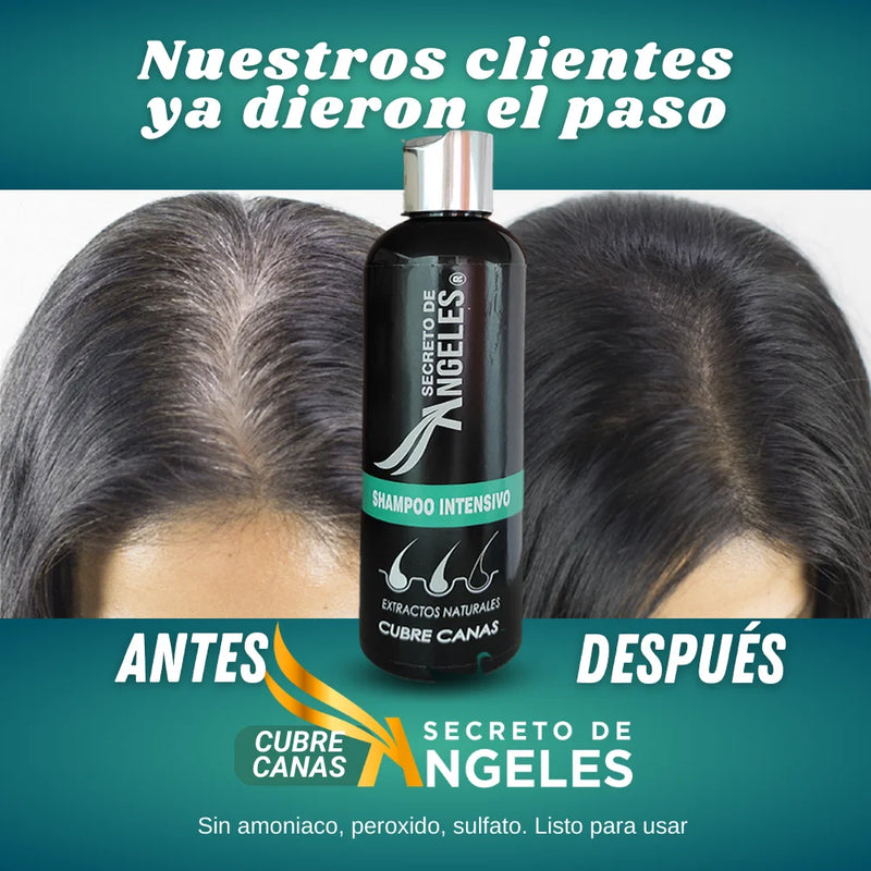 SHAMPOO CUBRE CANAS SECRETO ANGELES